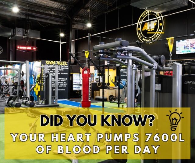 Best Gym Memberships Sydney Gym Membership Prices
